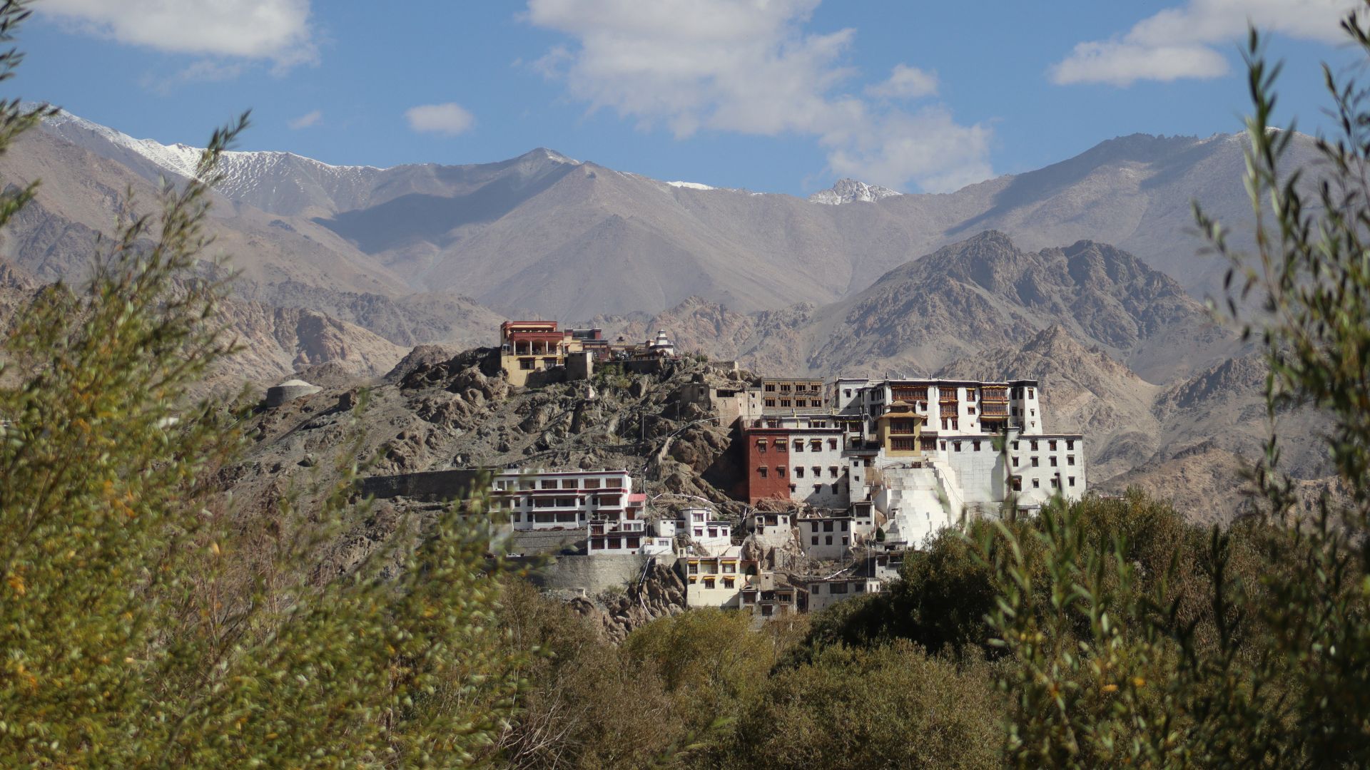 Spituk Monastery Guided Tour