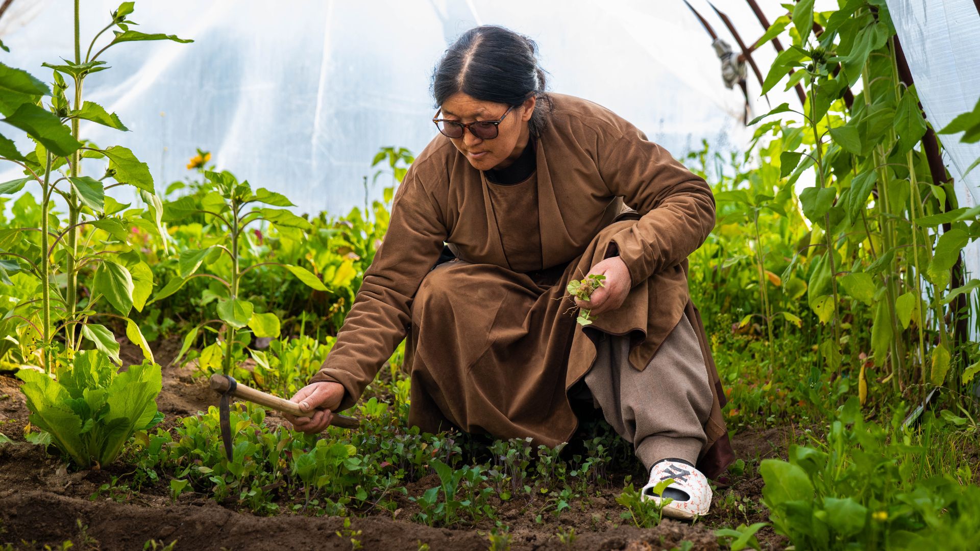 Sakti Village Farming Experience