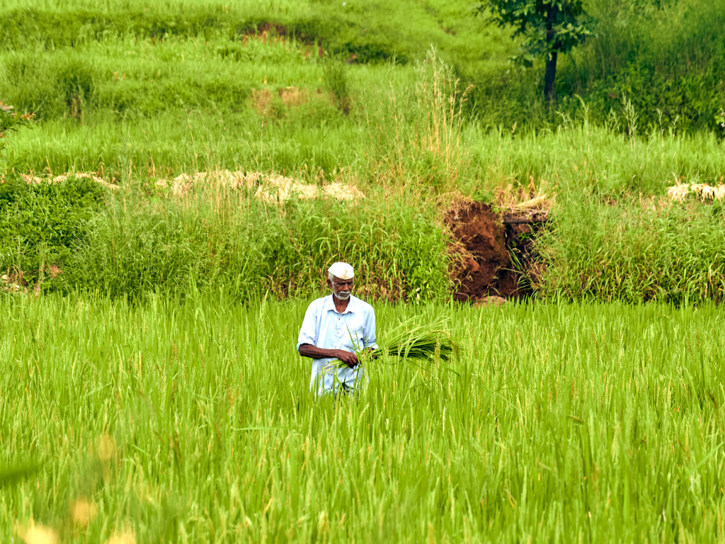 Farming Experience