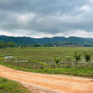 Pumah Eco Homestay