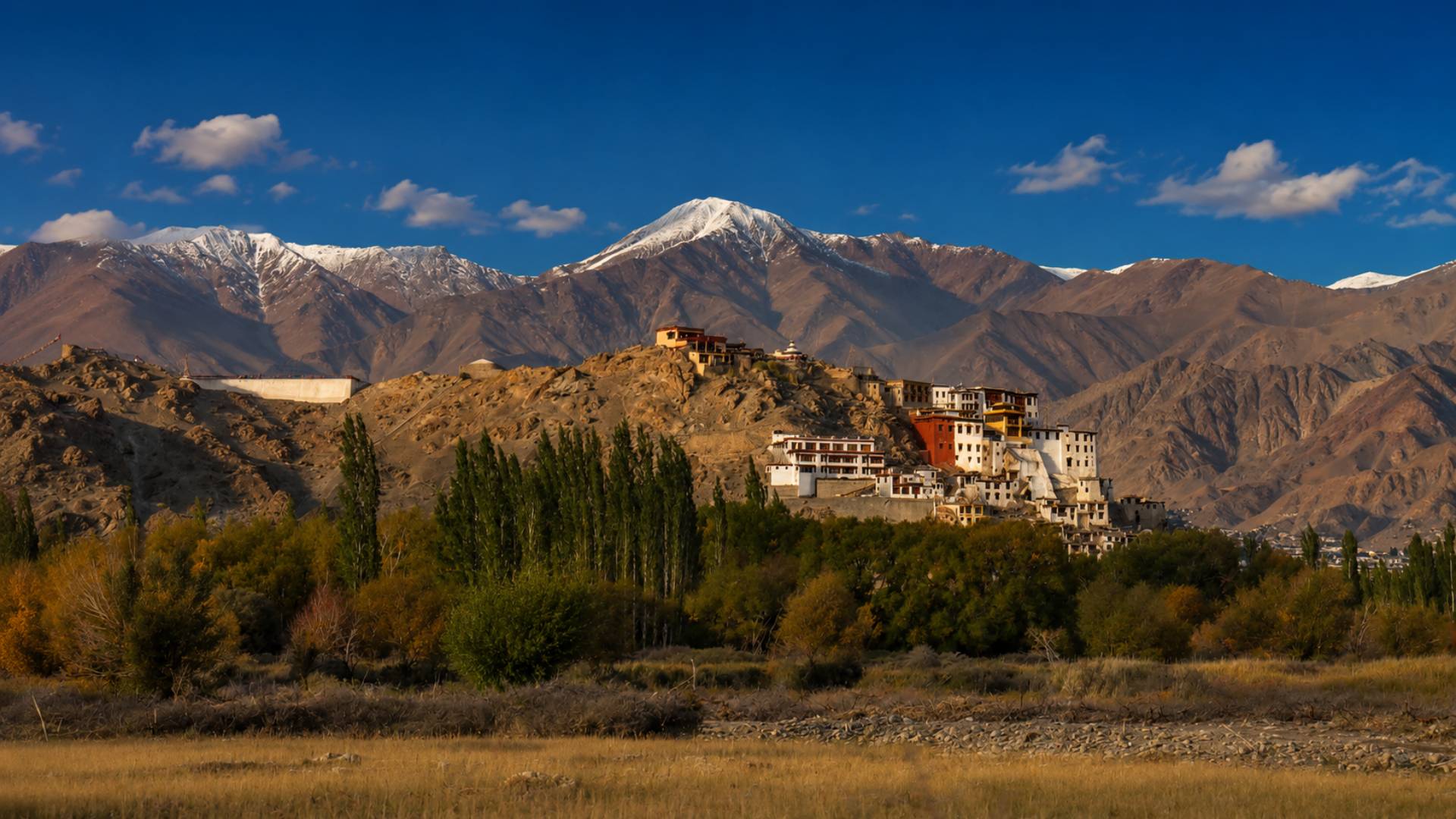 Spituk Monastery Guided Tour