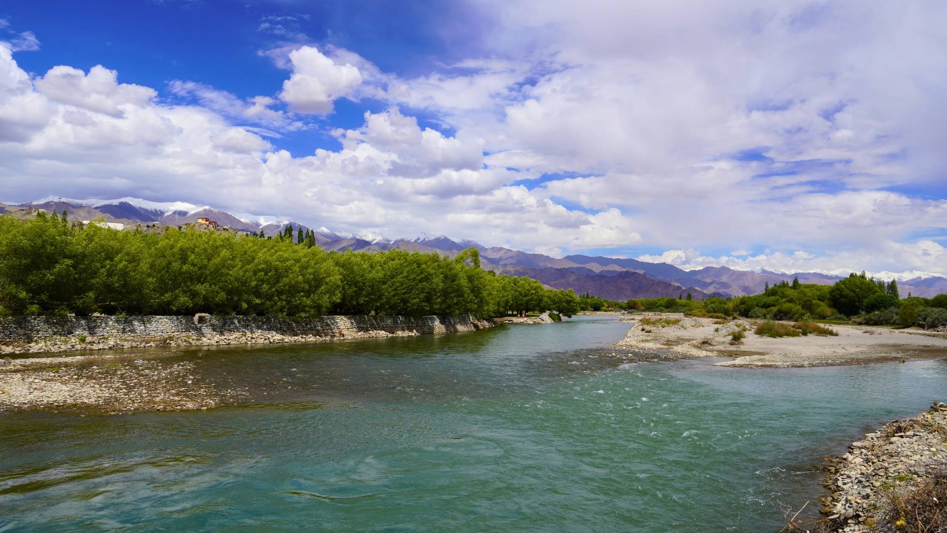 Indus River Birdwatching