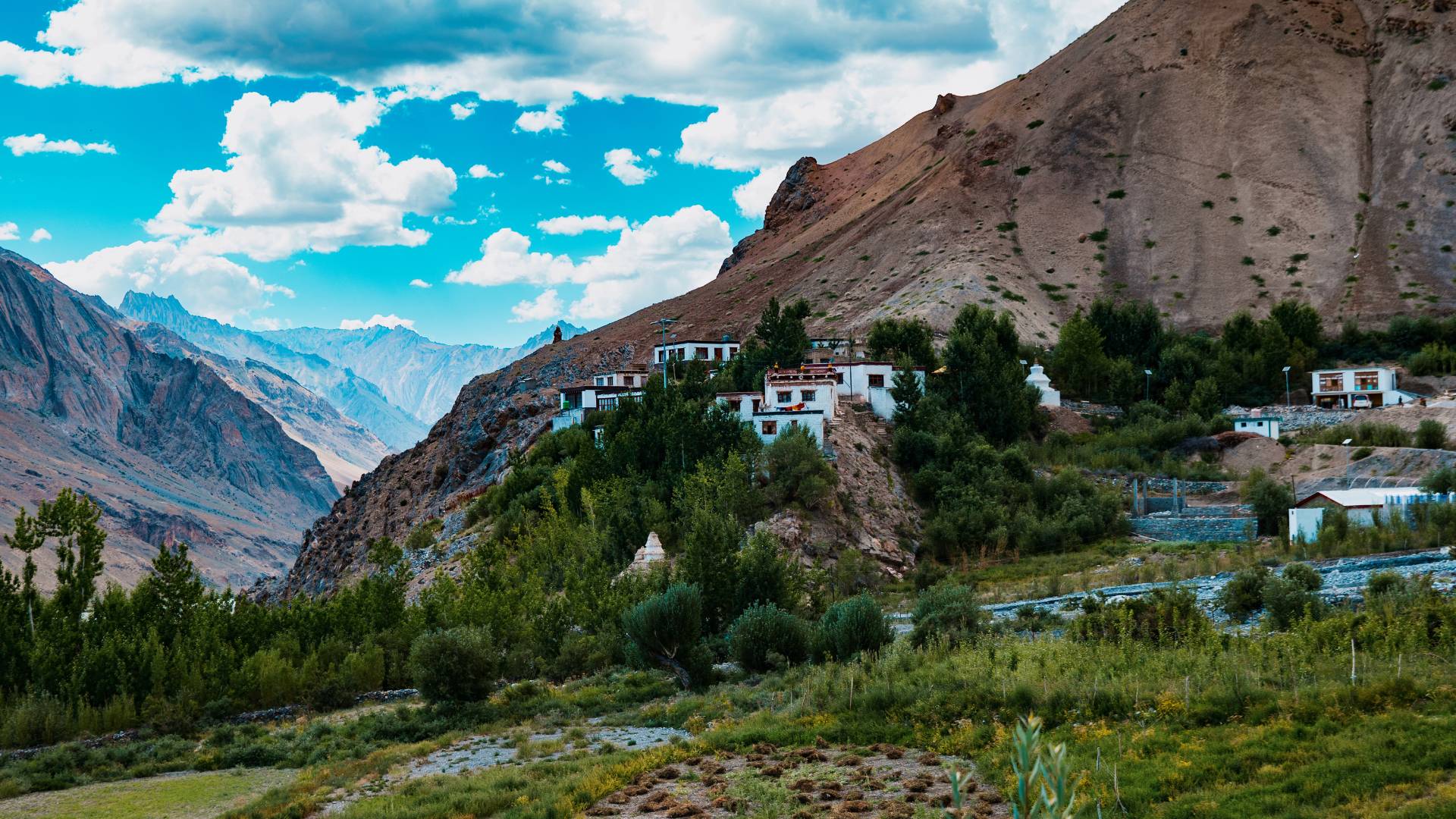 Zangla Nunnery Cultural Tour