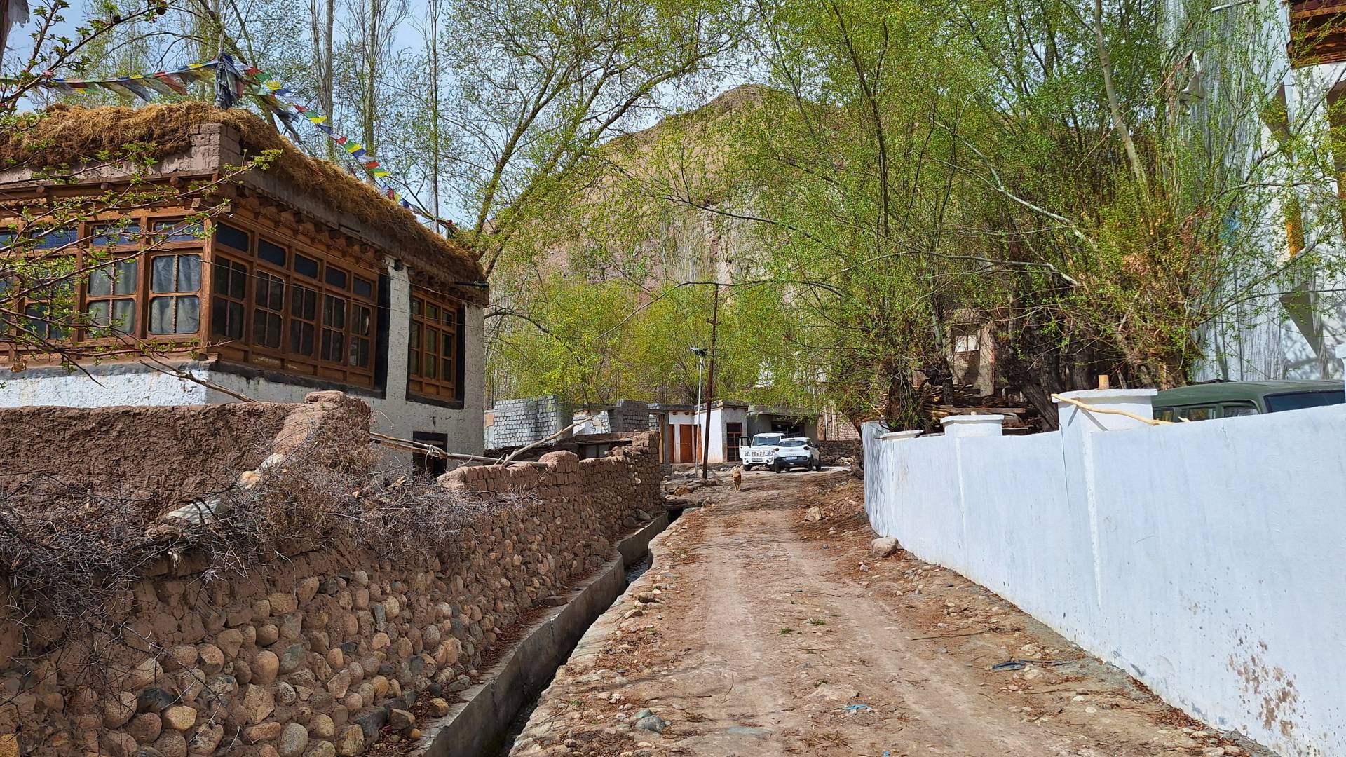 Basgo Village Walk